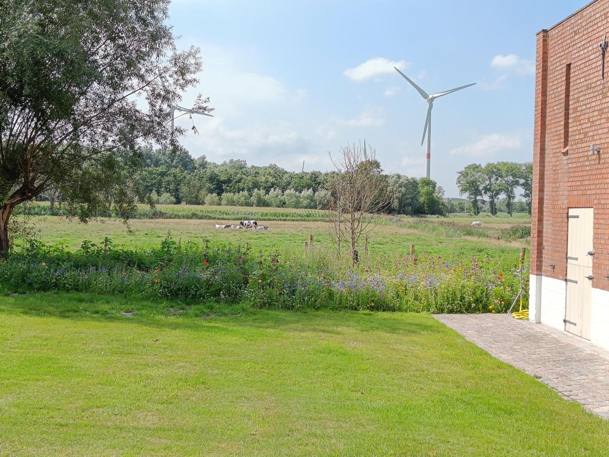 Beautiful 3-Bedroom - 3-Bathroom Appartment Pendula บรูจส์ ภายนอก รูปภาพ